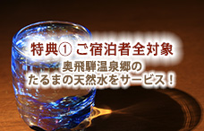 奥飛騨産特製ジャムのアイス